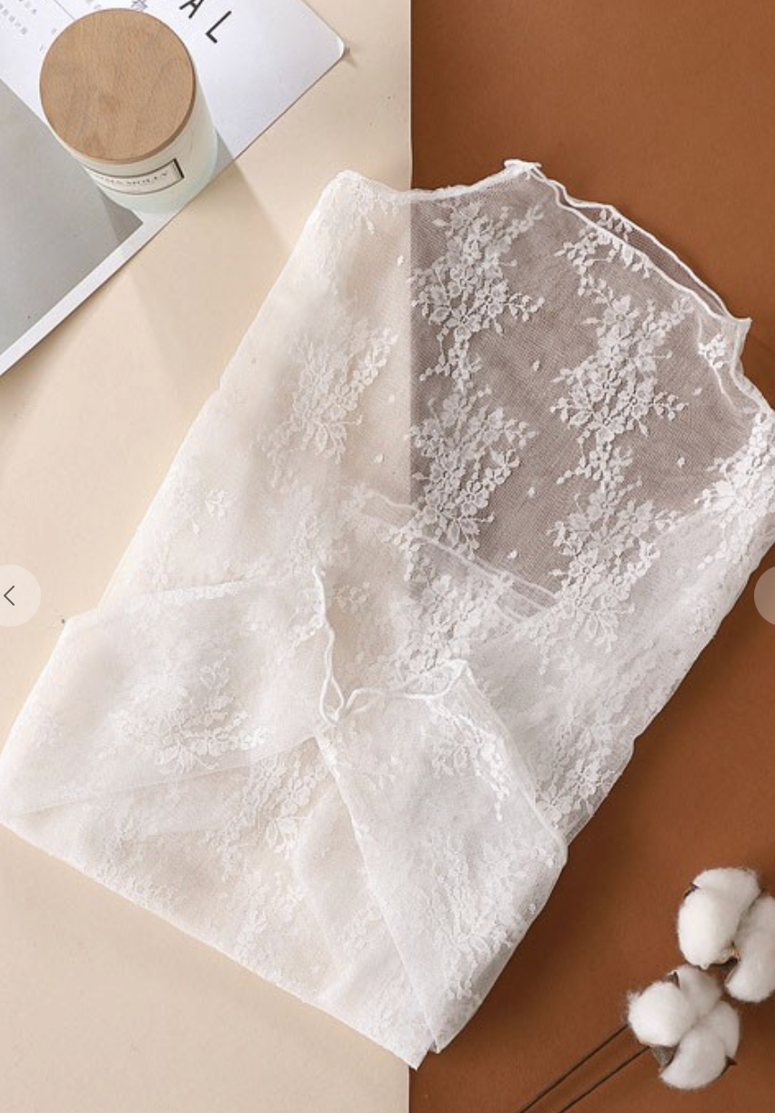 Sheer Lace Long Sleeve